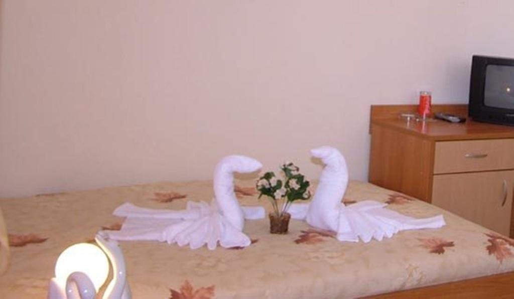 Family Hotel St. Constantine And Helena Ivaylovgrad Eksteriør bilde